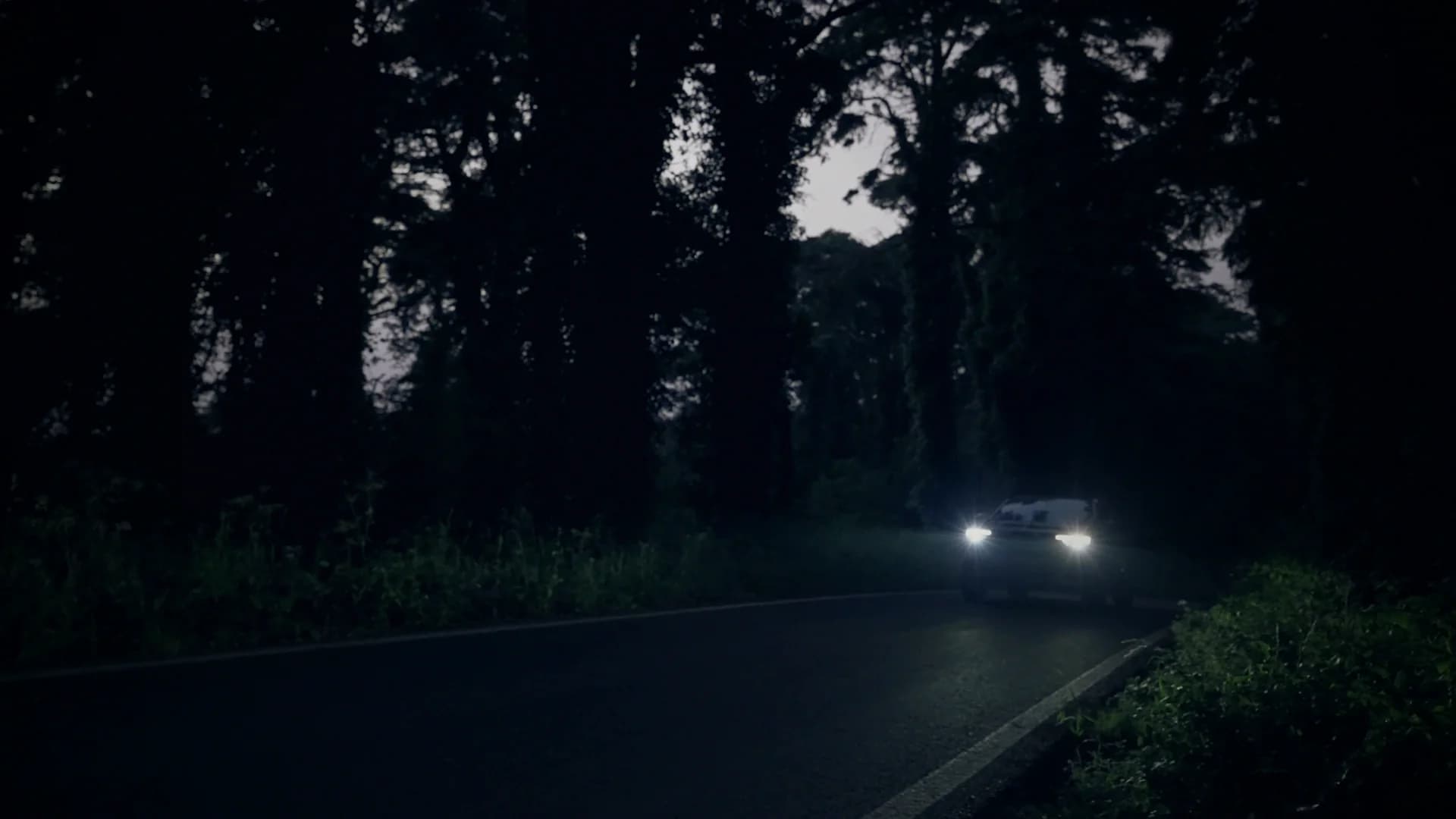 A car with its headlights on driving out of a dark forest road at nightfall.