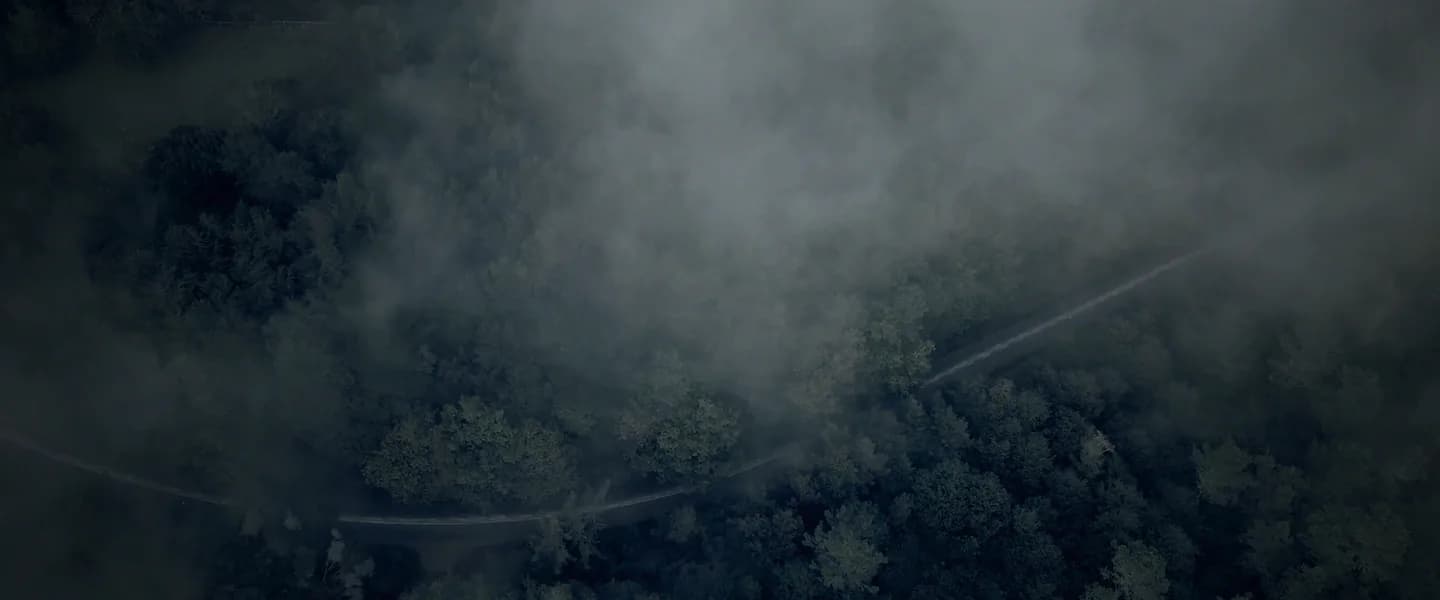 Looking down through fog onto a forest road.