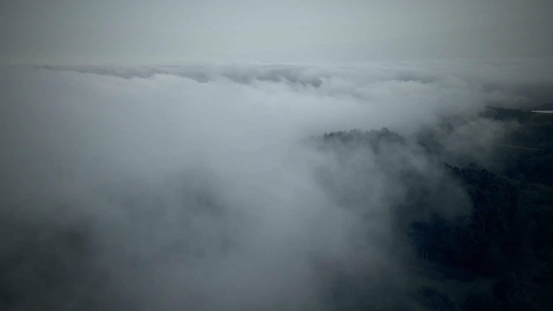 Flying over a sea of cloud with dark forest breaking through below.