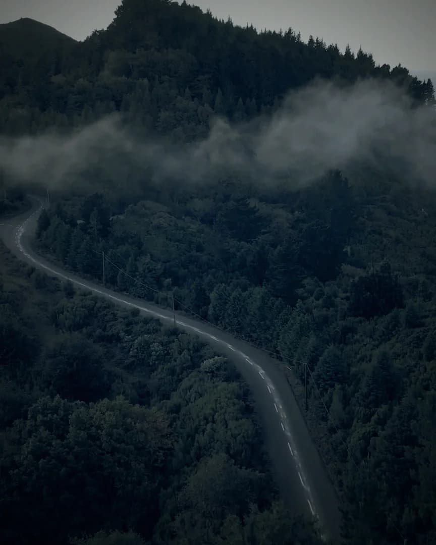 Aerial view of a road snaking through forested mountains under drifting cloud.